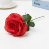 Short Branch Rose-red