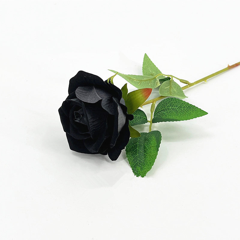 variant image